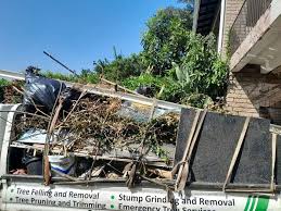 Best Same-Day Junk Removal Services  in Hayneville, AL